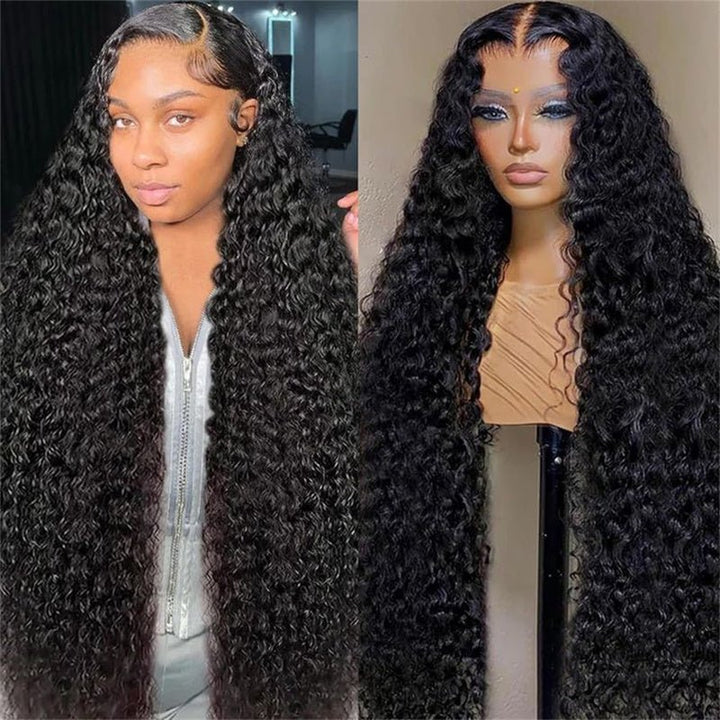 Lemoda 4x4 Lace Closure Wigs Deep Wave Human Hair HD Transparent Lace Front Wigs 250% - Lemoda Hair