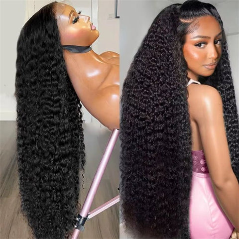 Lemoda Vietnamese Curly Lace Front Wig Skin Melt HD Lace Wigs 13x4 13x6 Human Hair Wigs 250% Density - Lemoda Hair