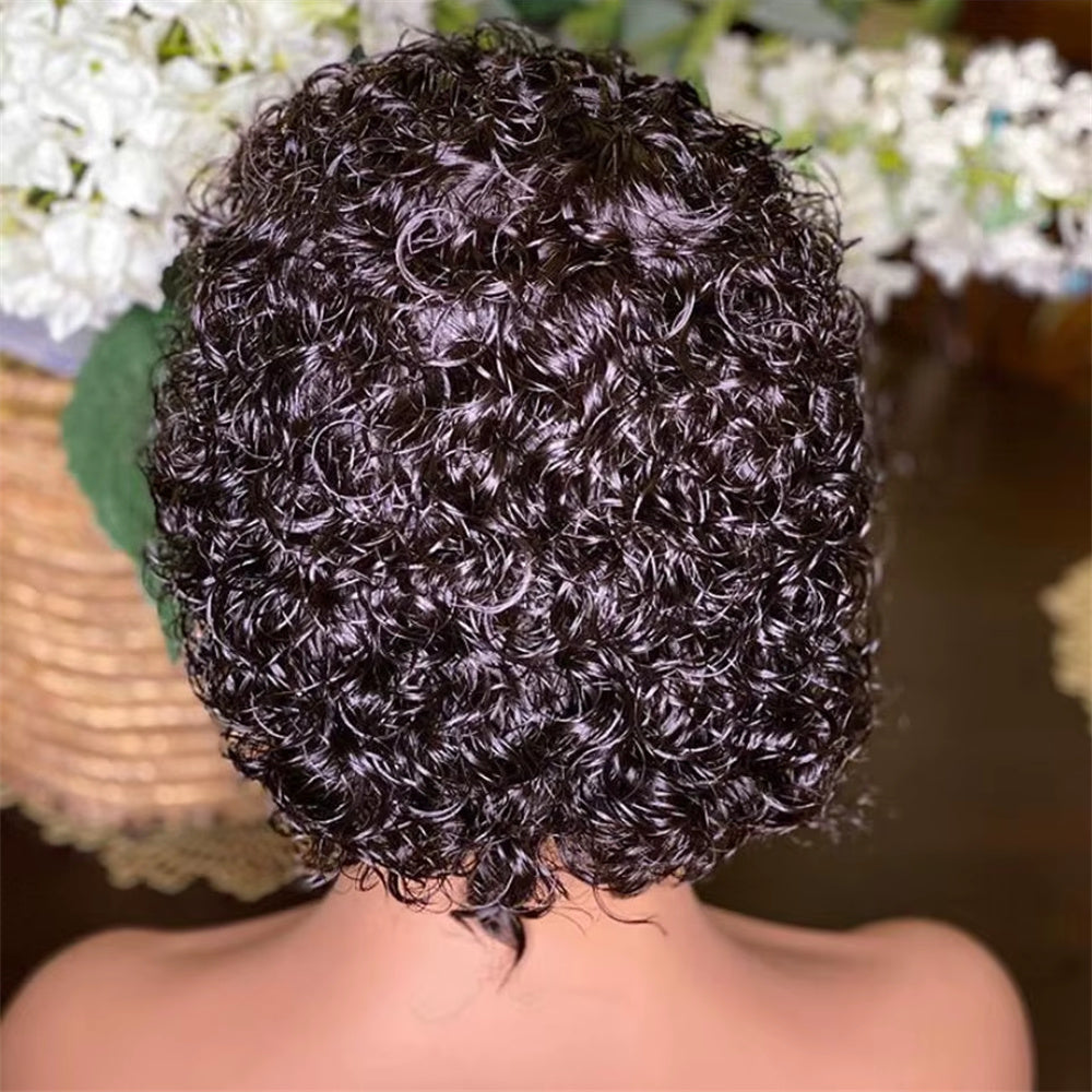 Lemoda Pixie Cut Wig 360 Full Lace Human Hair Wig for Women