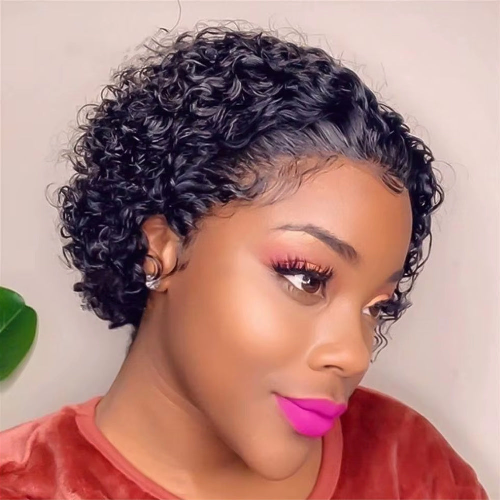 Lemoda Pixie Cut Wig 360 Full Lace Human Hair Wig for Women